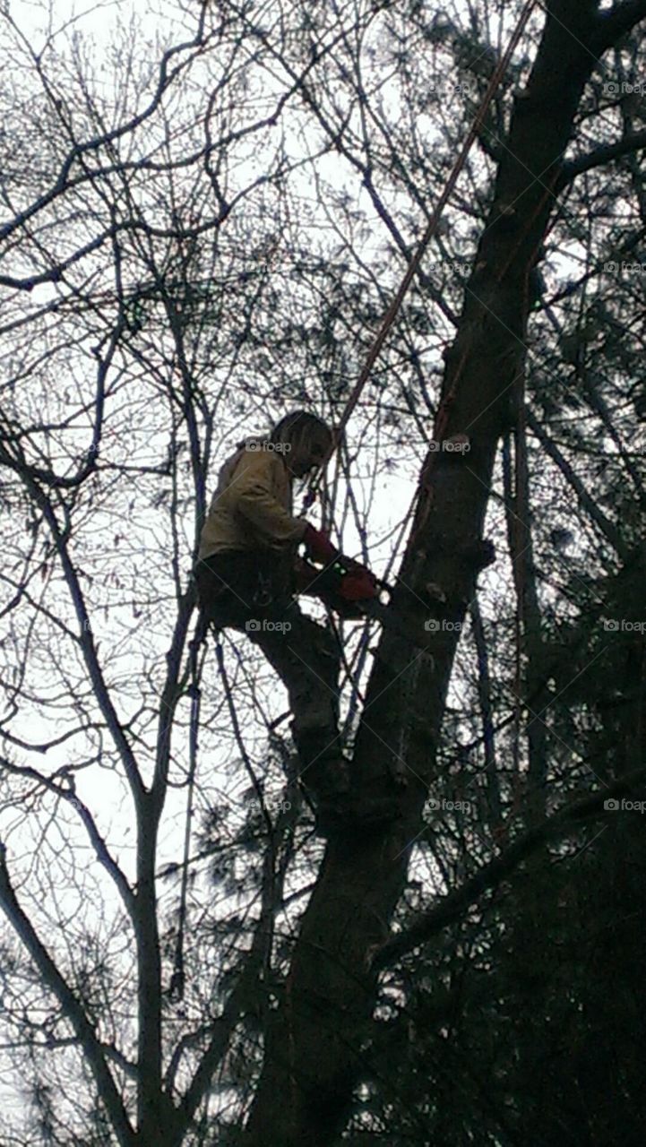 Tree Man