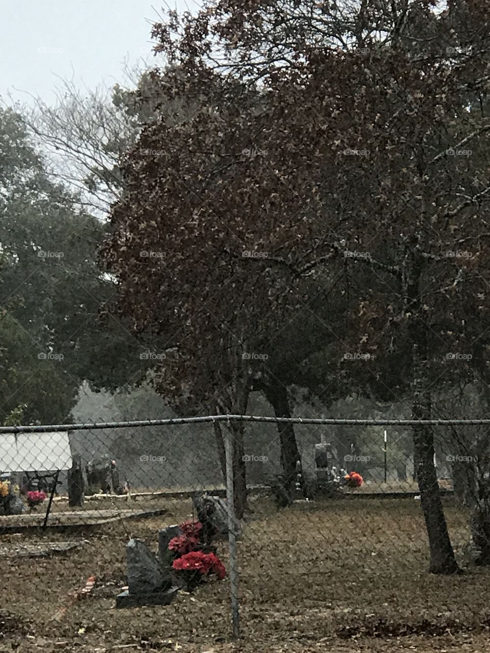 Winter at a graveyard in Tex
