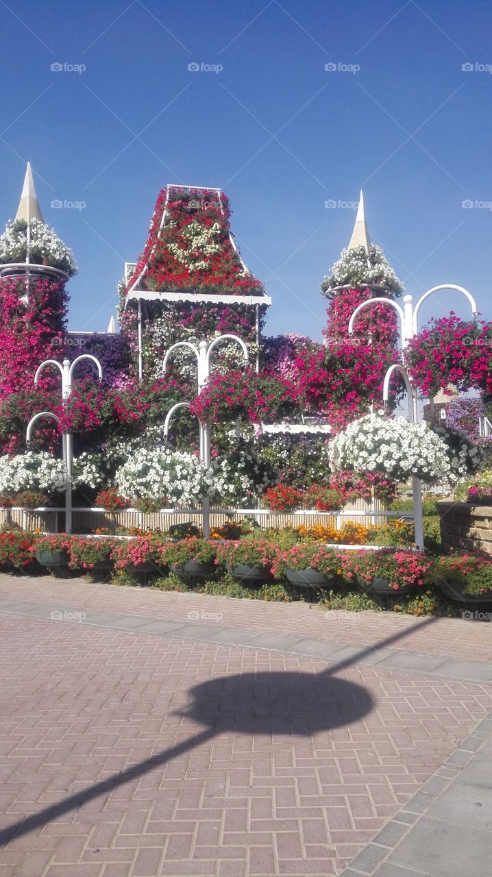 Castle  flowers