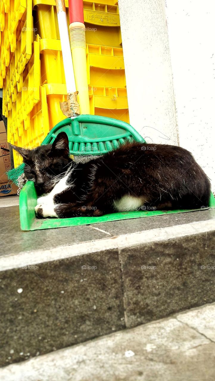 sleeping, don't disturb