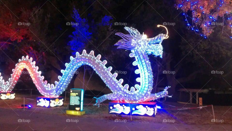 dragon lights