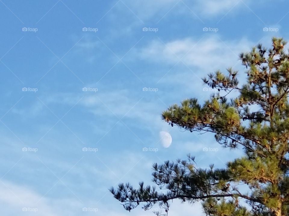 It is all about the moom