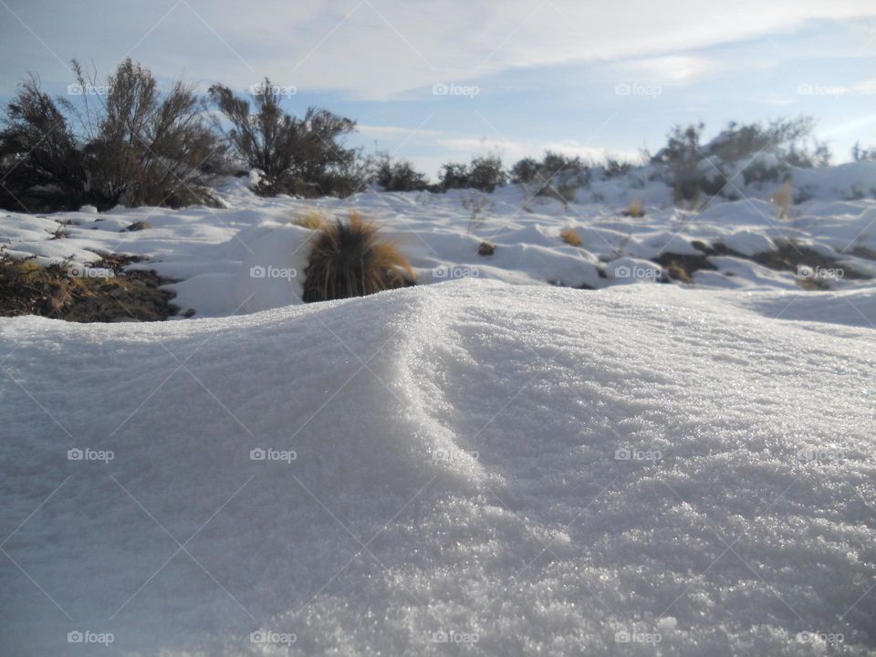 nieve y suelo