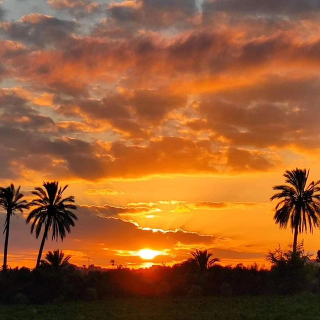 Sunset takes you to the world of wonderful colors