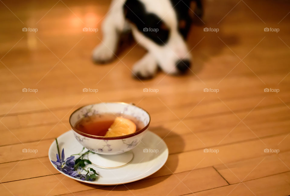 Close-up of tea cup in  room