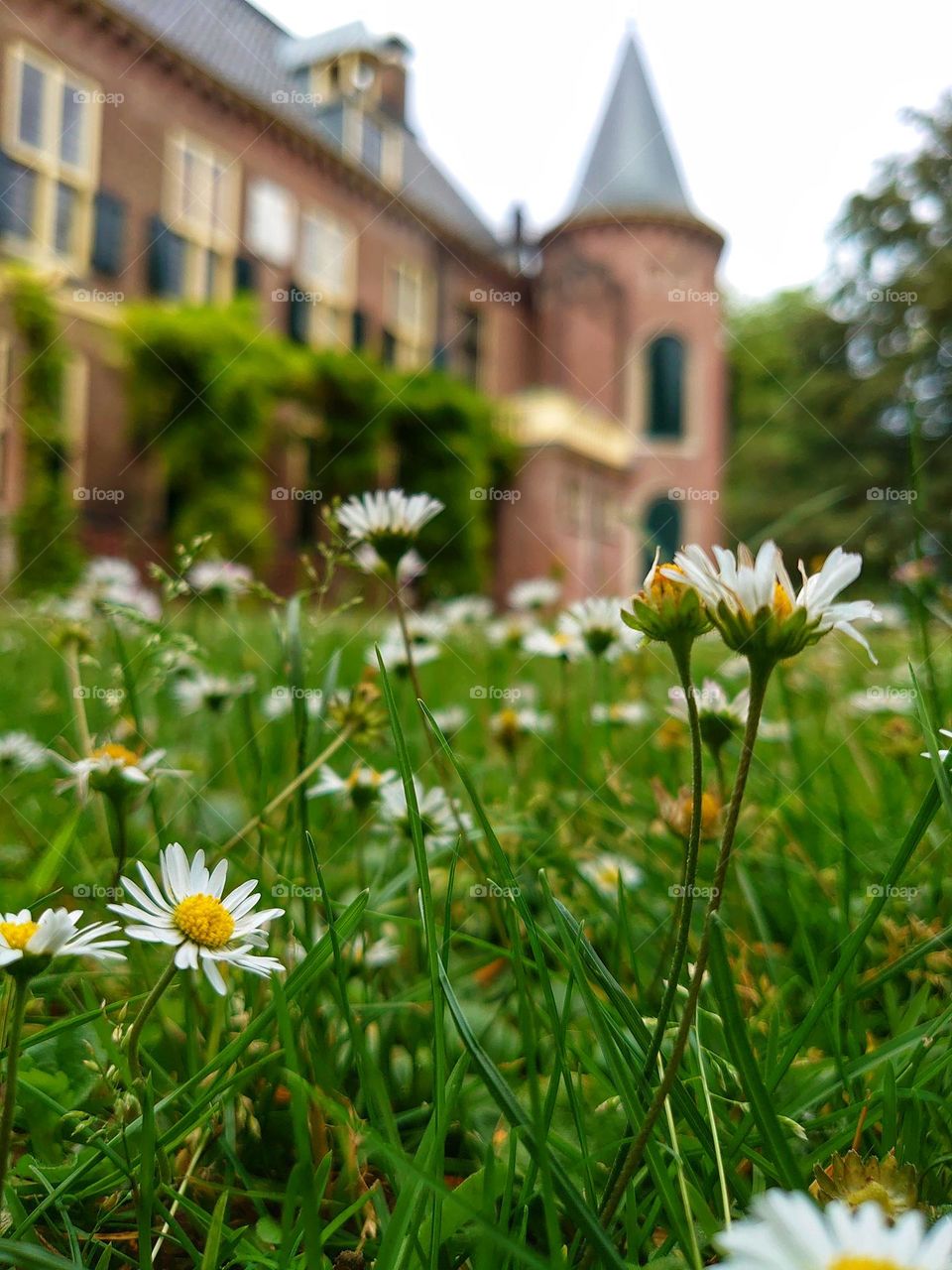 Daisy's and my favorite castle