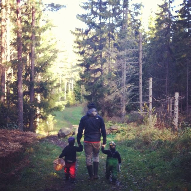 Mushroom hunting