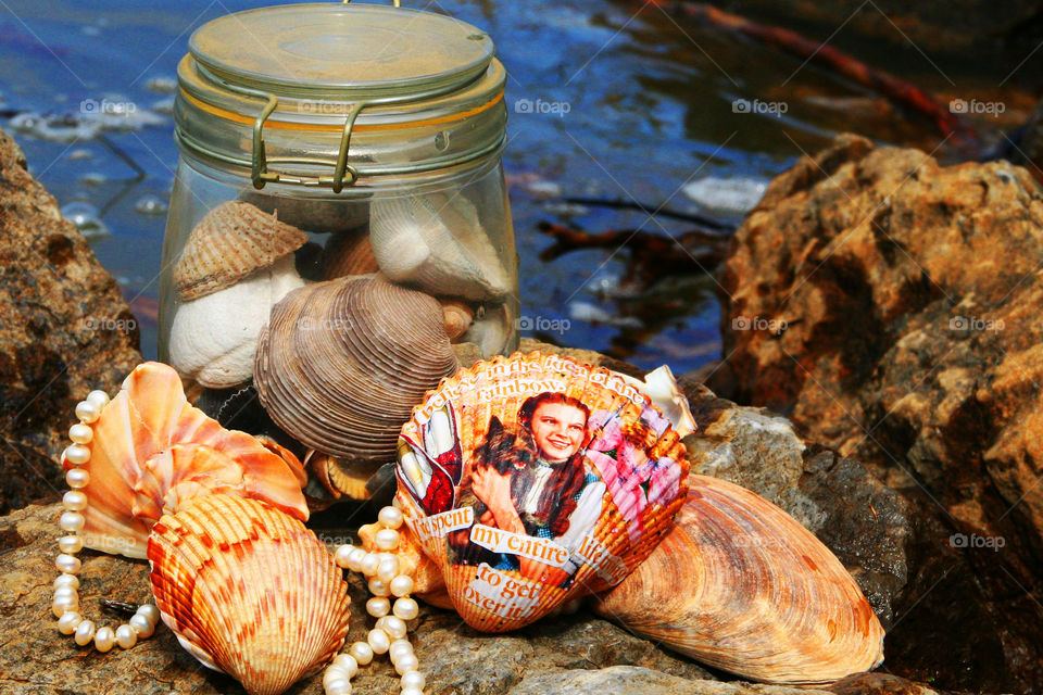 Summer Collection ( Series )