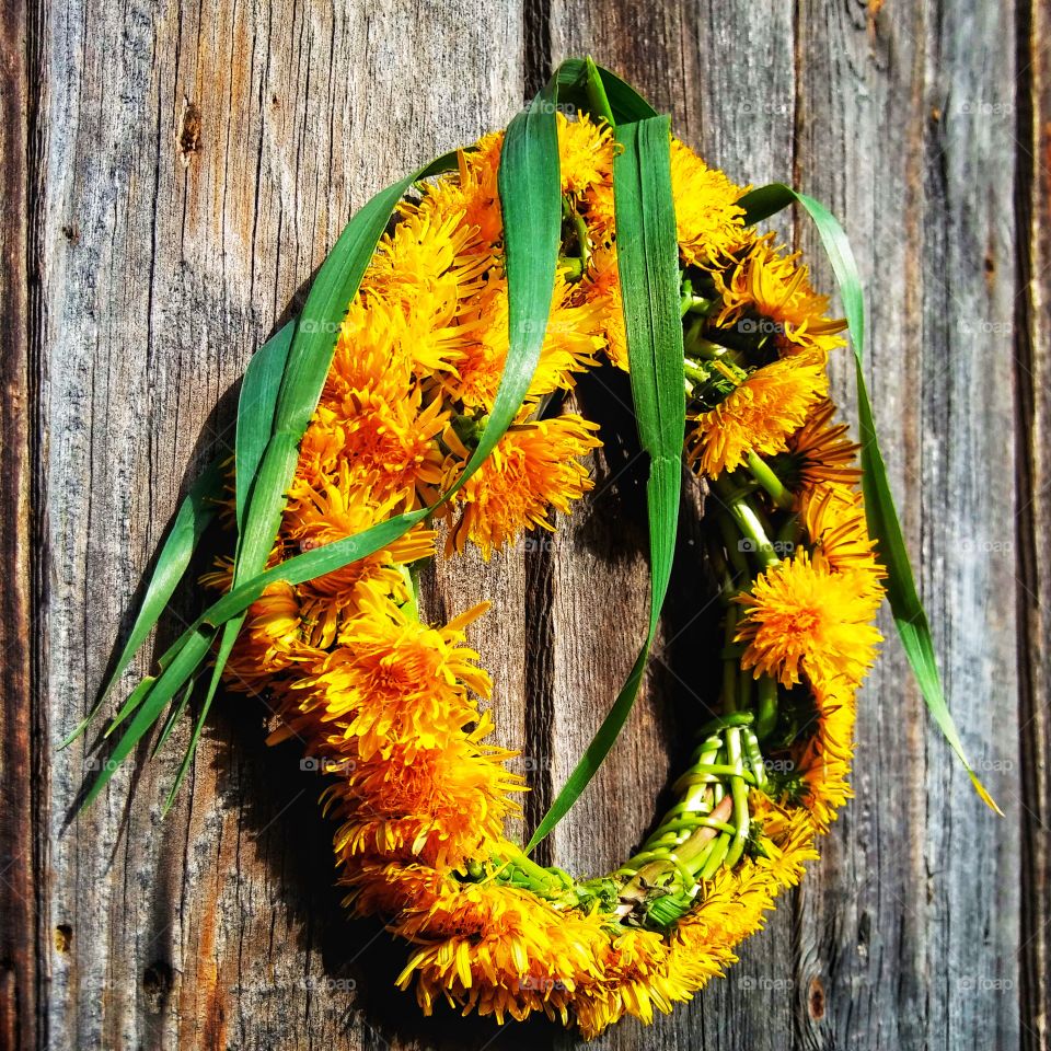 Crownet made of taraxacum flowers.