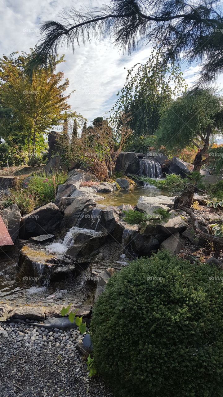 garden water feature