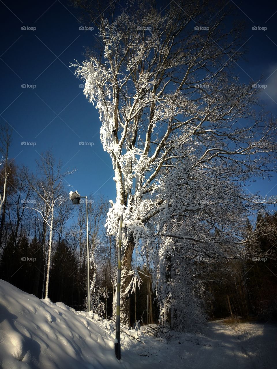 Duszniki Zdrój Jamrozowa polana