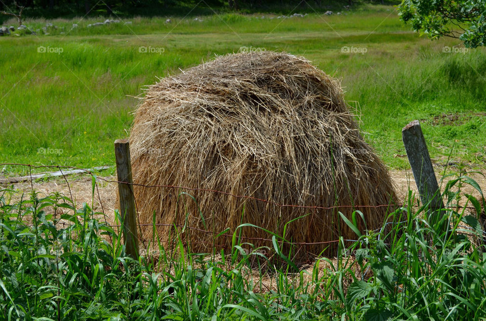 summer countryside hay haystack by carlanders