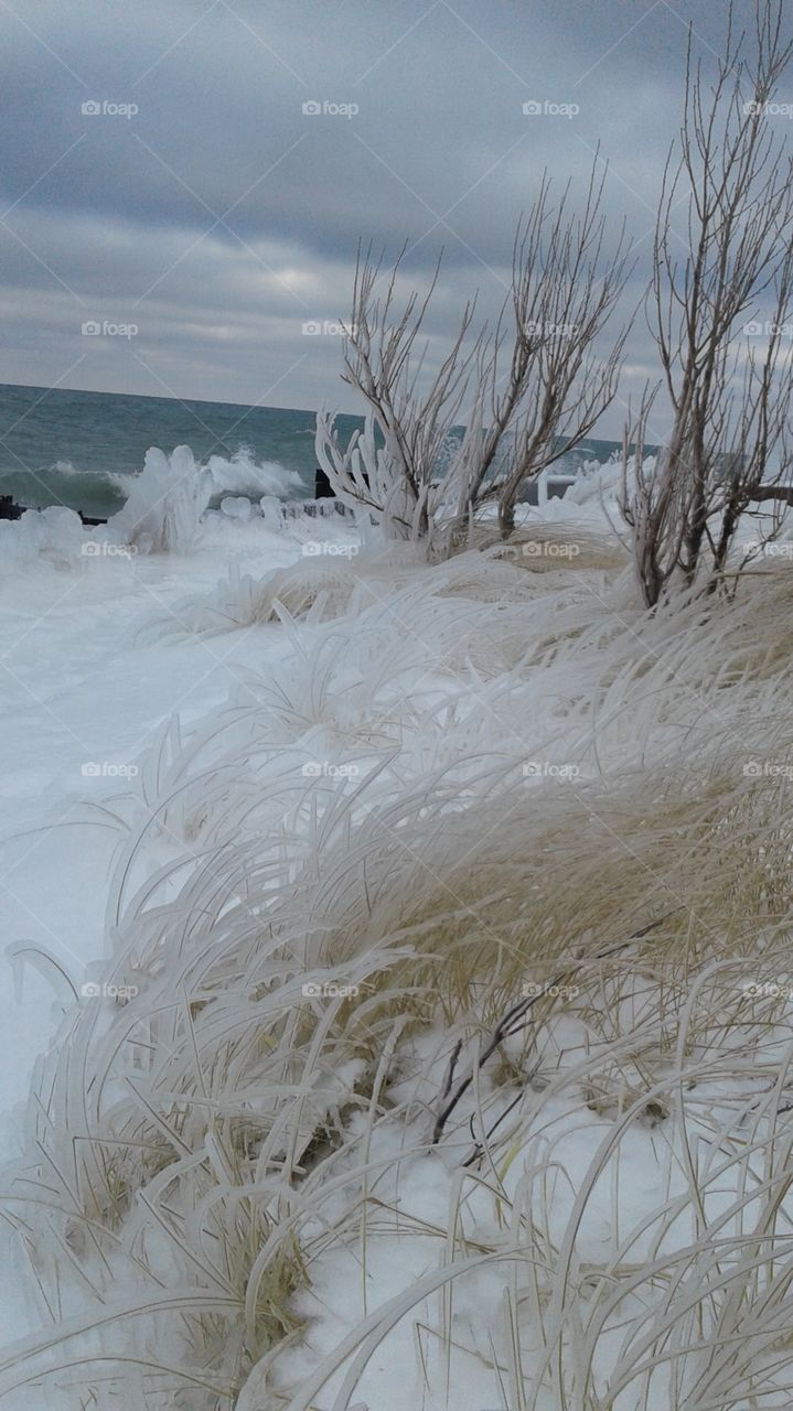 Northern Michigan 