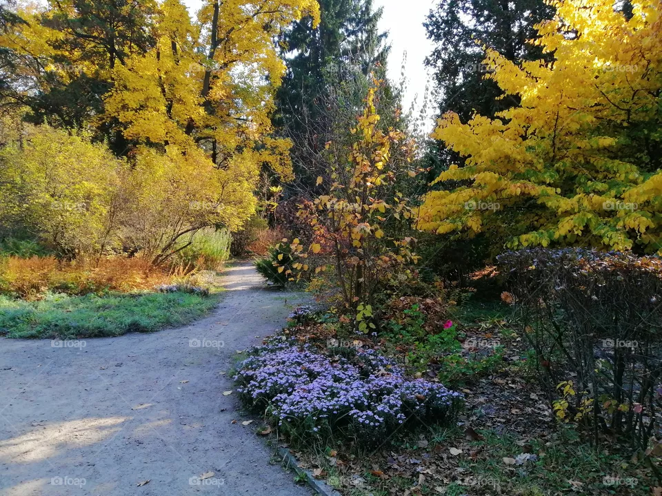 Park