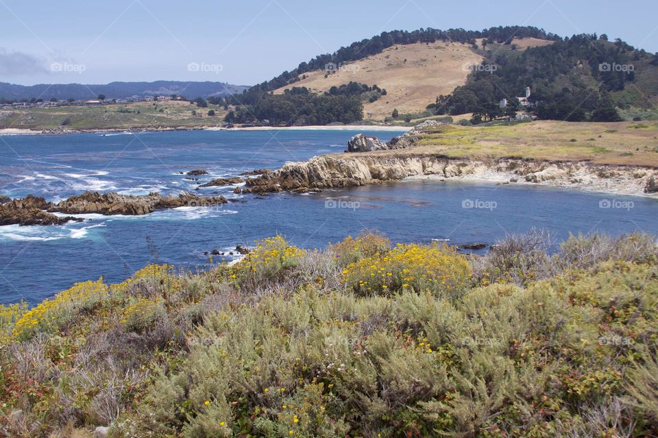 Northern California Coastline