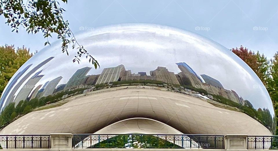 Chicago bean