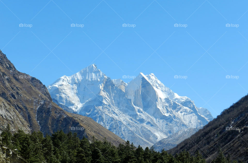 Gangotri National Park