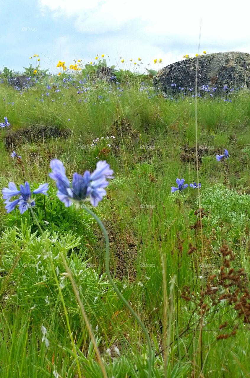 Calm before the storm