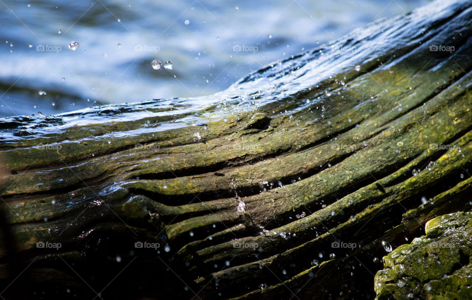 Water droplets in motion splashing over Wood log at rivers edge transforming the color and texture over time abstract nature background 