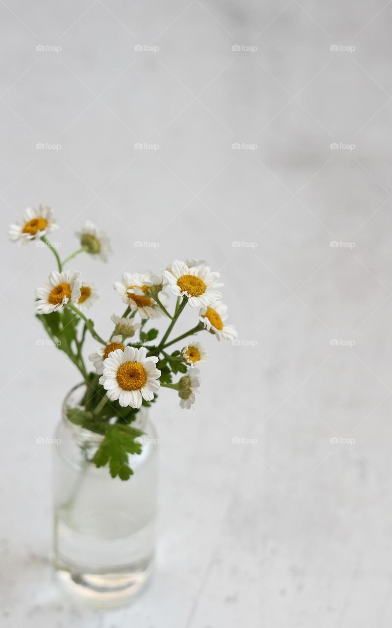 A bouquet of flowers in a vase