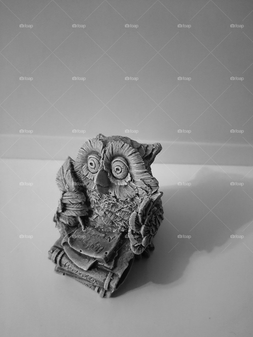 Wise Owl.  Black and white photo.  Mobile photo.