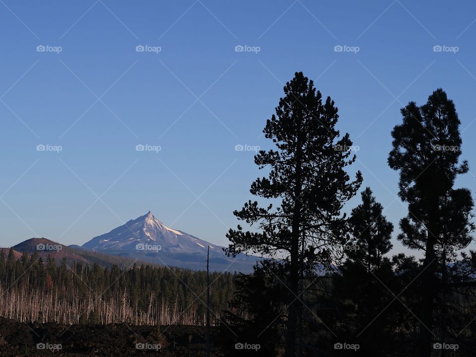 Morning sunrise on Mt. Jefferson in Oregon’s Cascade Mountain Range with a field of lava rock on a fall day with clear blue skies.                      