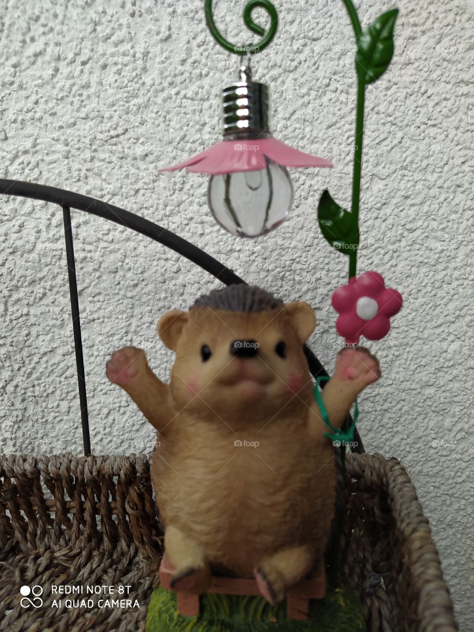 hedgehog under the lamp