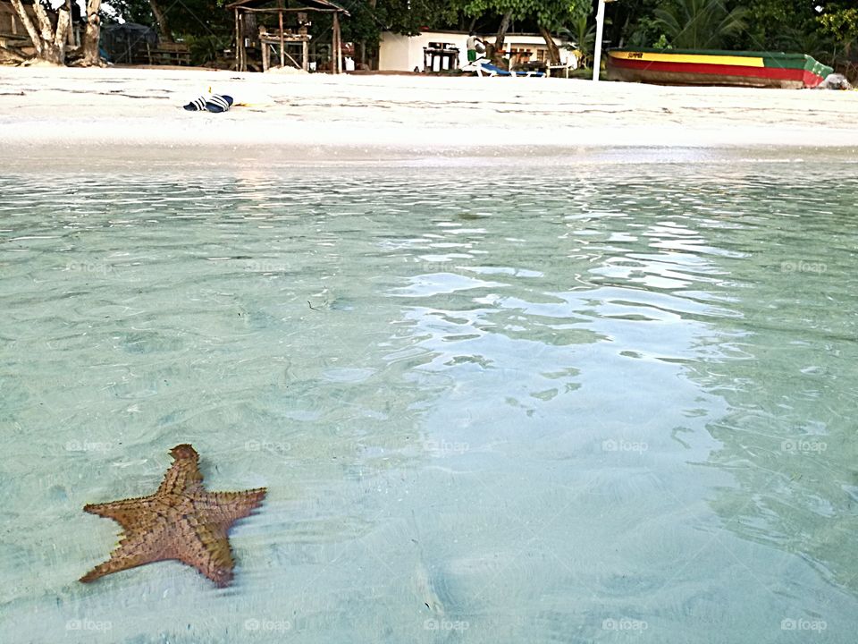 Star and water Negrill Beach