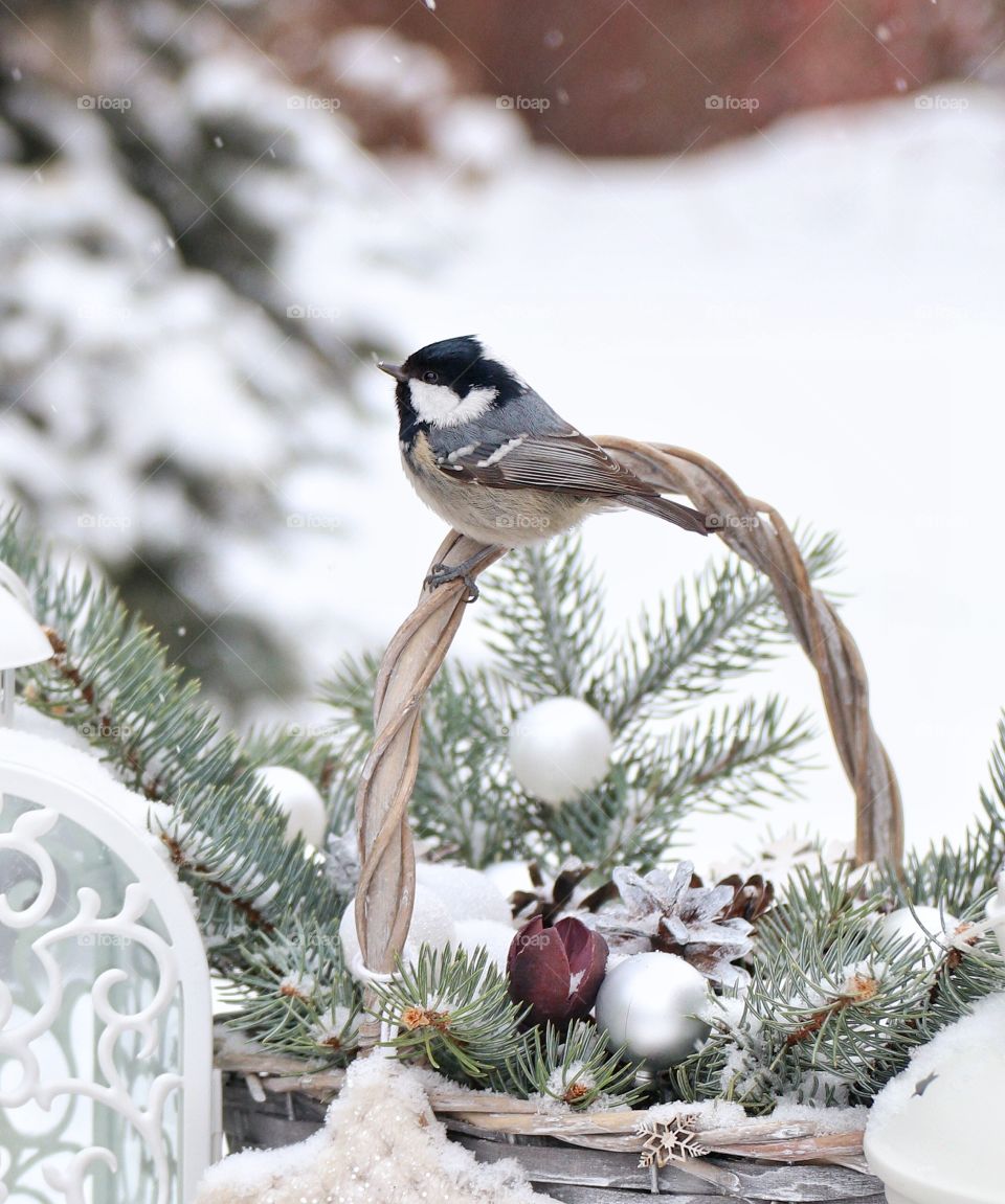 Small bird on the basket decoration 