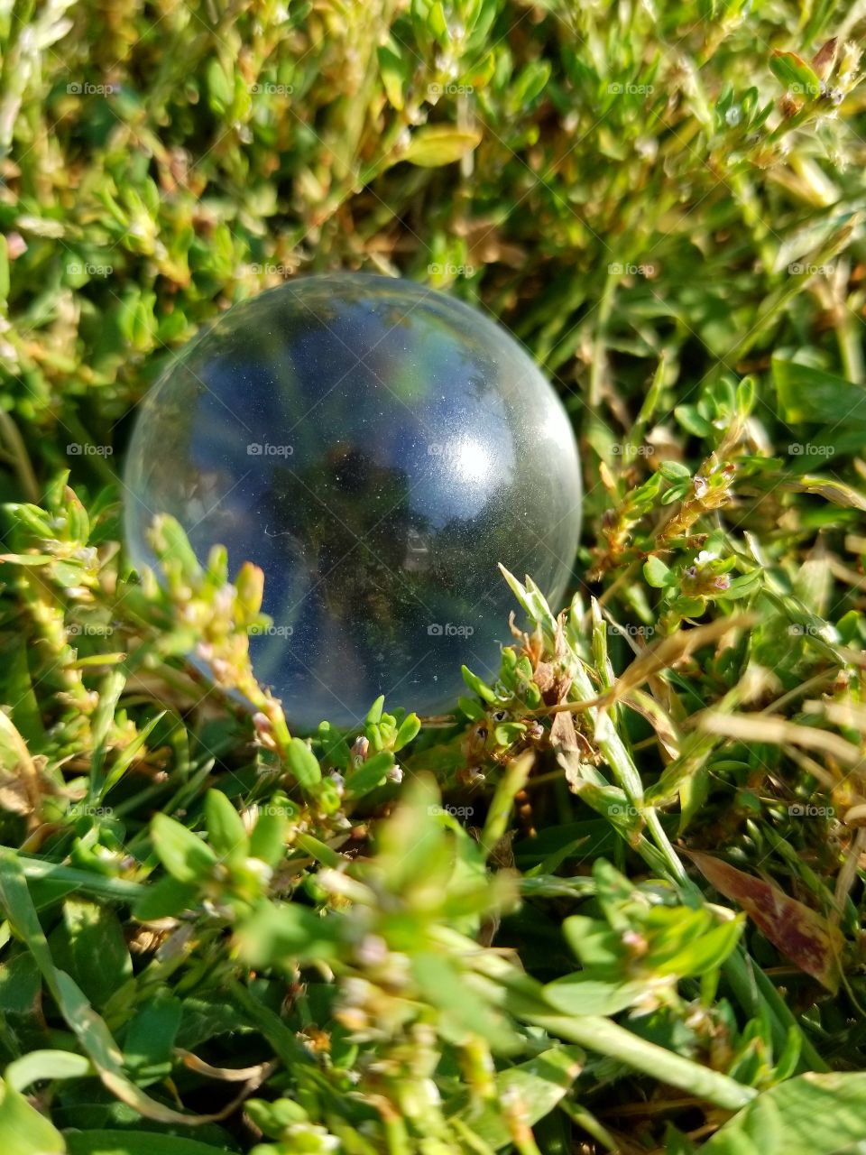 bubble