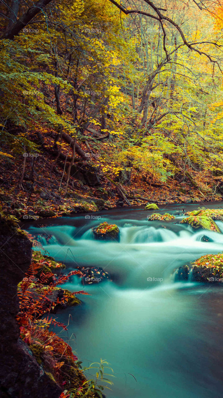 Greek river in winter