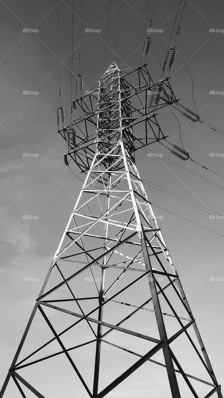 Transmission line image in portrait