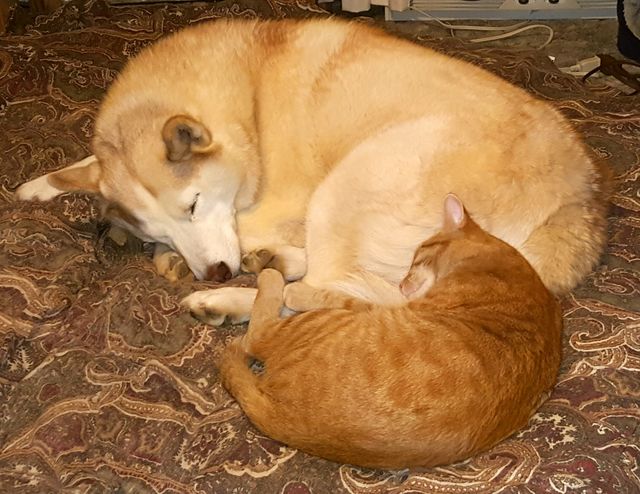 Everything is better with a friend!