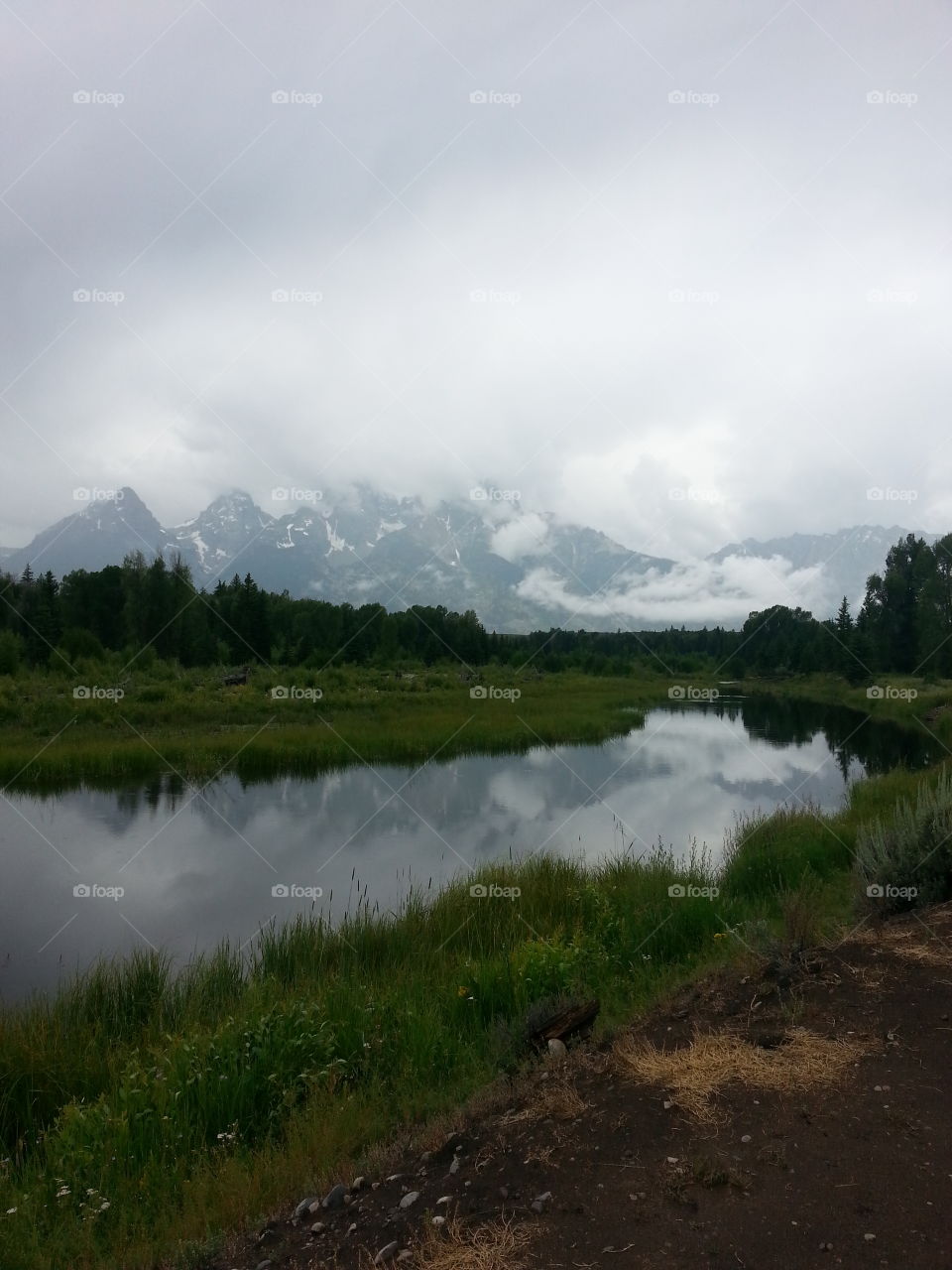 Reflection of Great Tetons. Great Teton mountains reflected in the Snake River