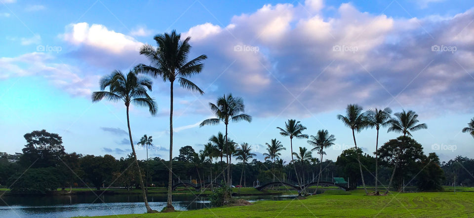 Wailoa River State Recreation Area