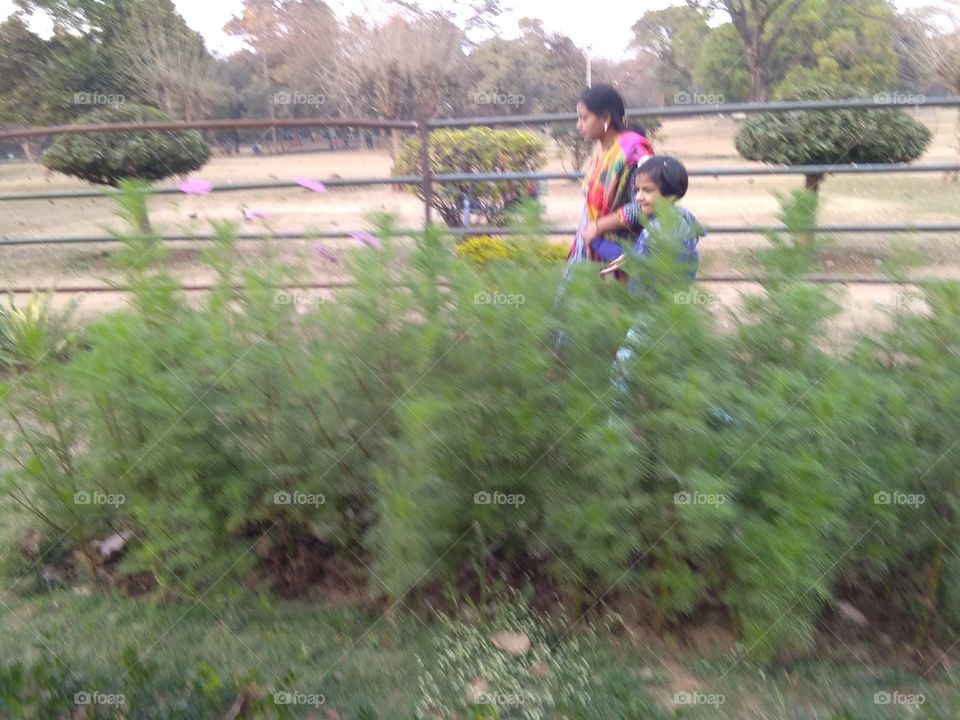 Garden, Park, Landscape, Child, Tree