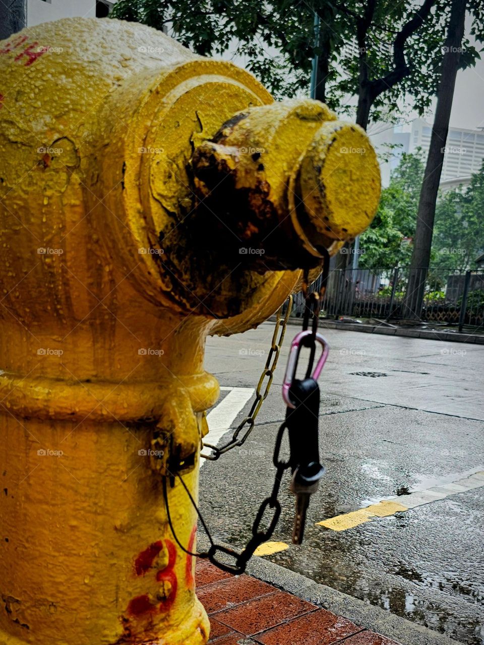 Key hanging at the fire hydrant on a rainy day