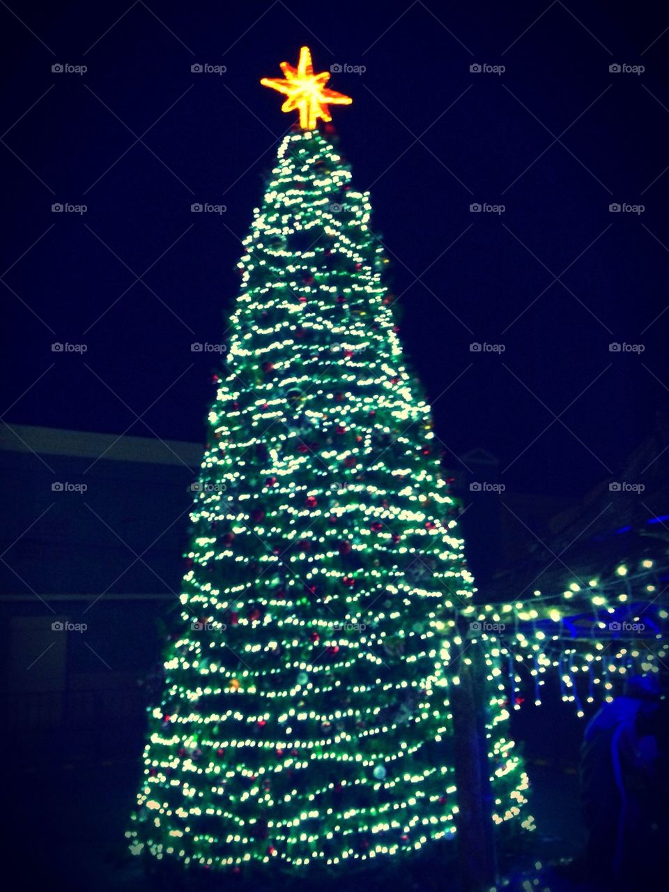 christmas mexico decoration christmas tree by luisfo