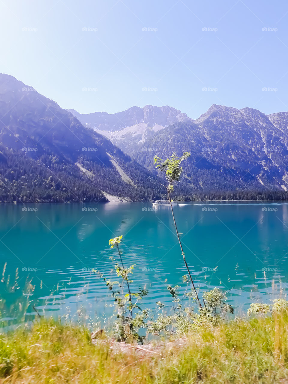 plansee tirol Austria