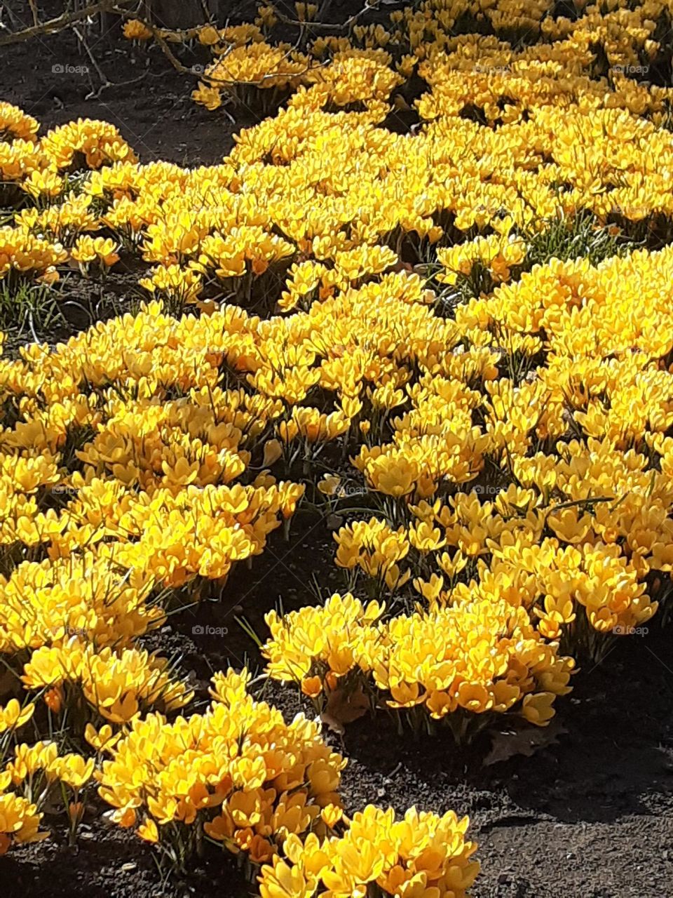 Весна пришла!