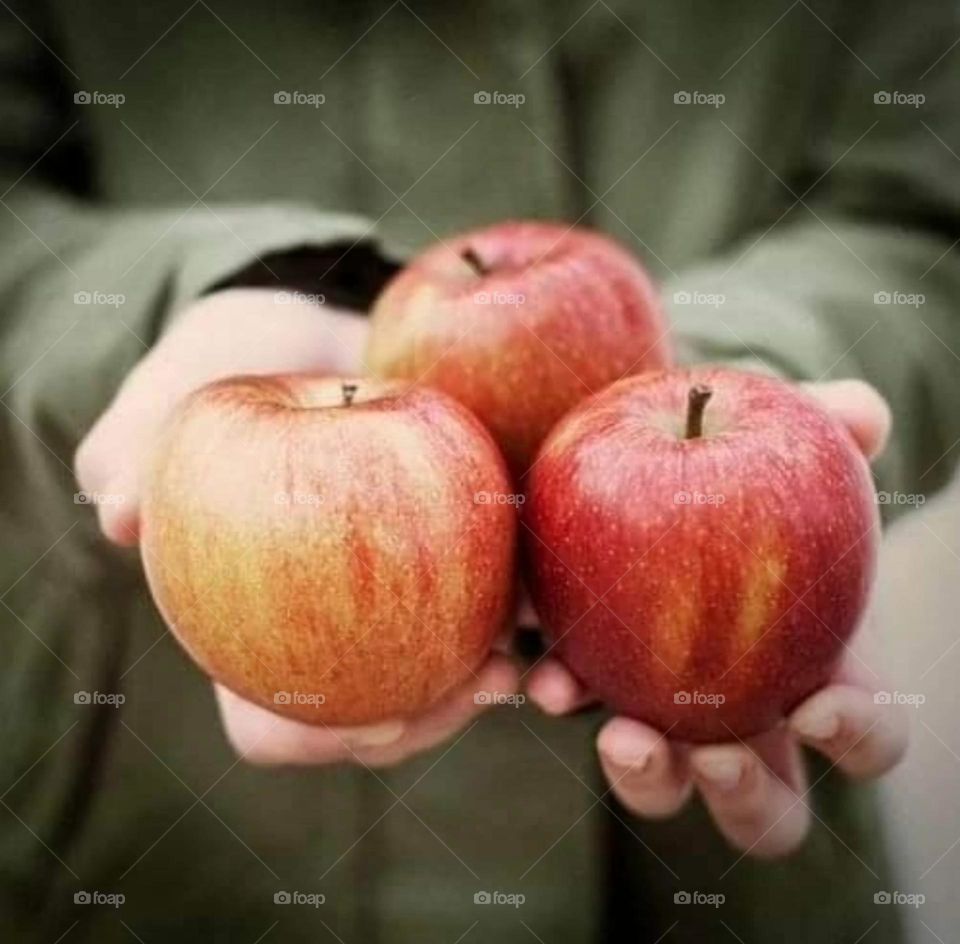 My top summer snapshots mission