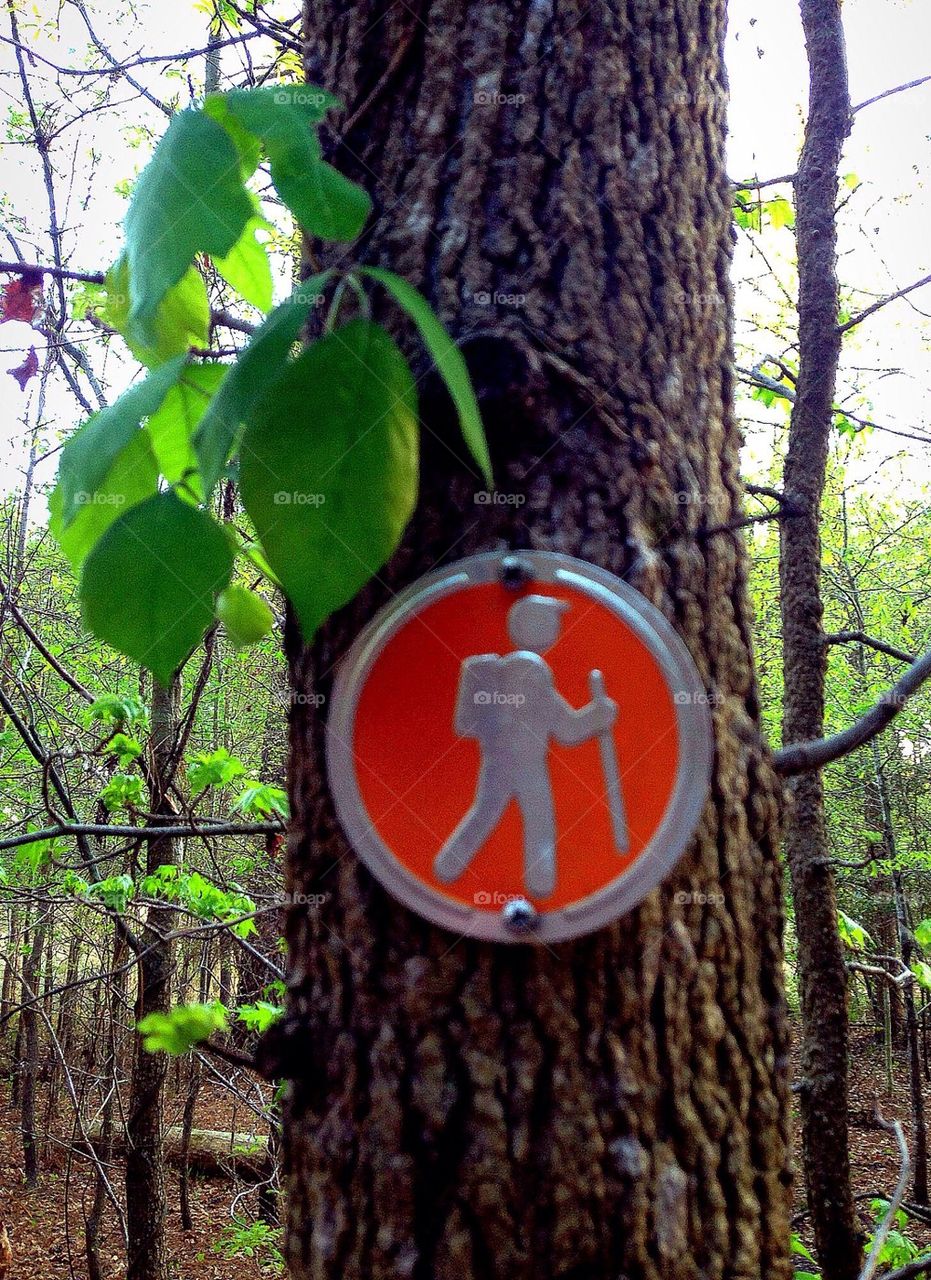 Hiking Sign