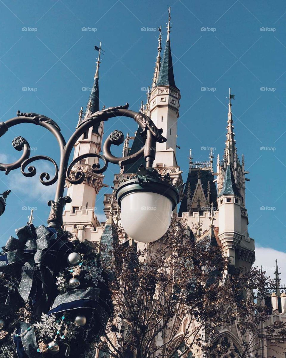 Disneyland castle here in Tokyo.