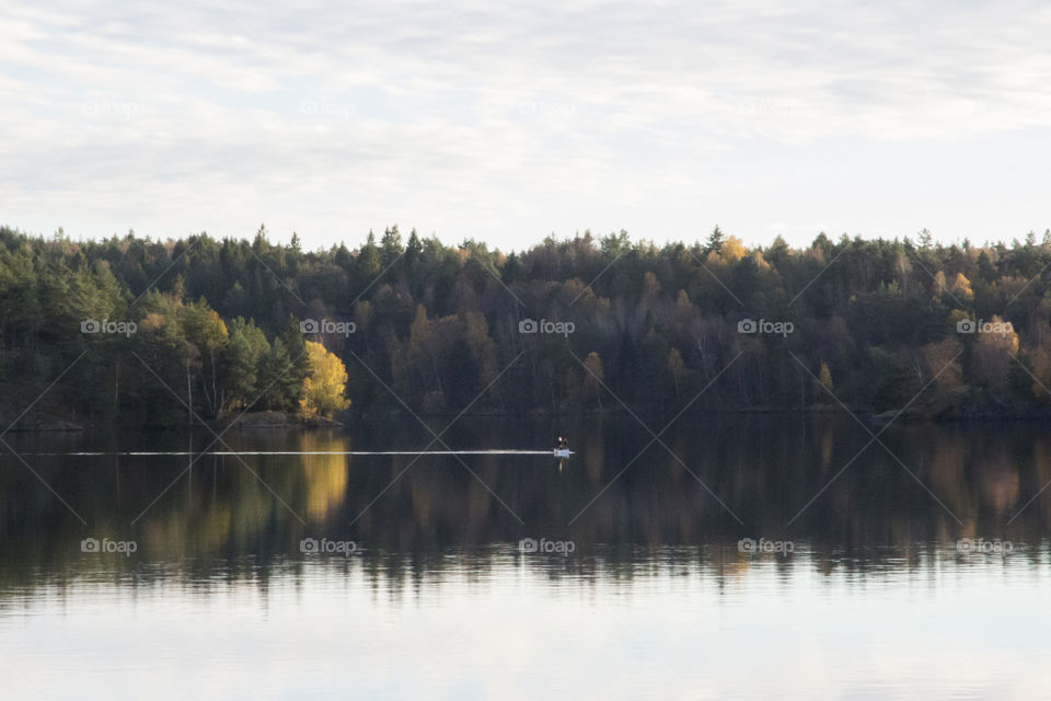 Autumn trees reflecting on lake
