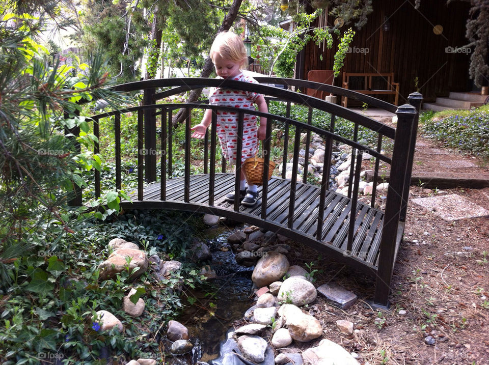 bridge basket blond curious by stephen