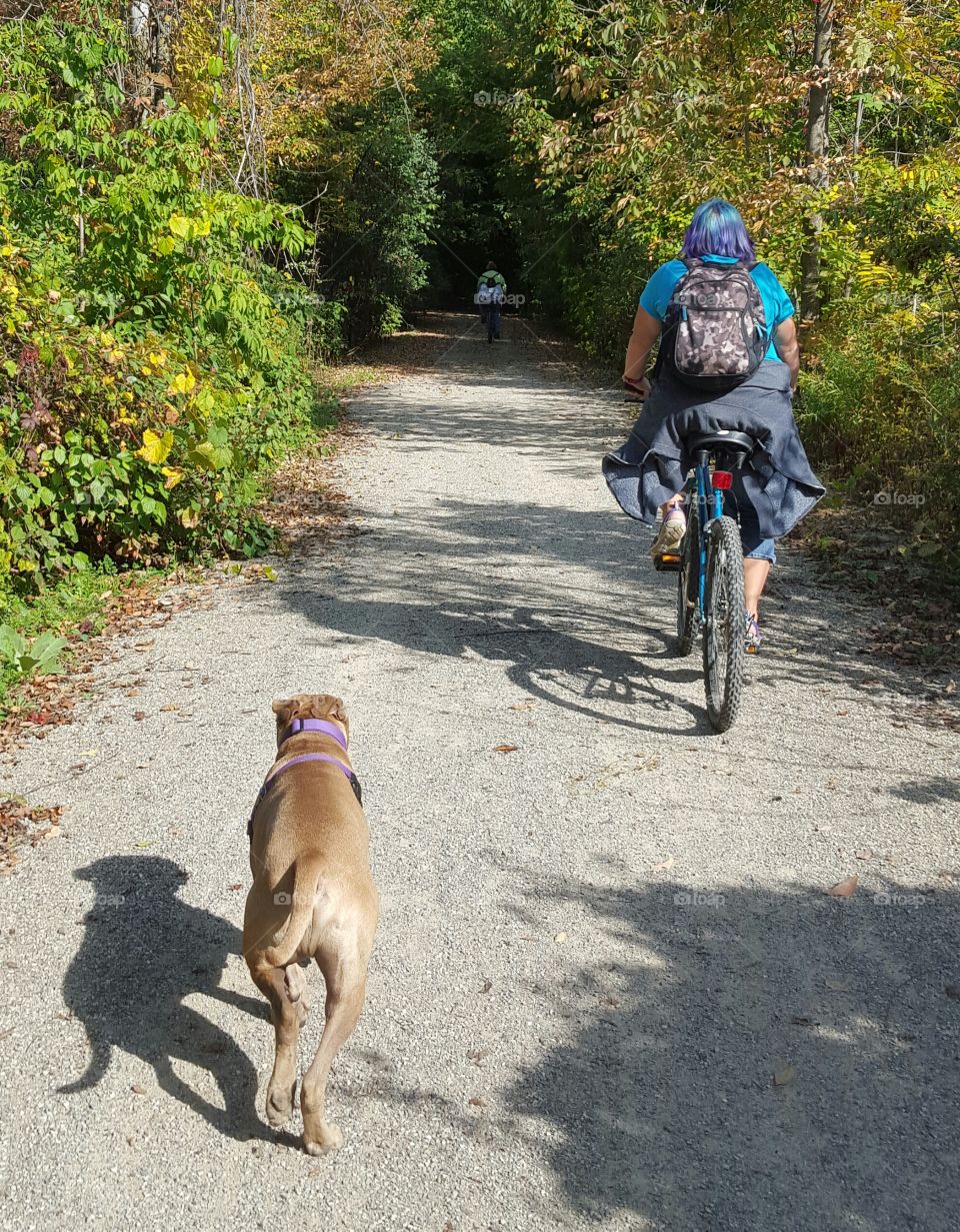 biking the trail