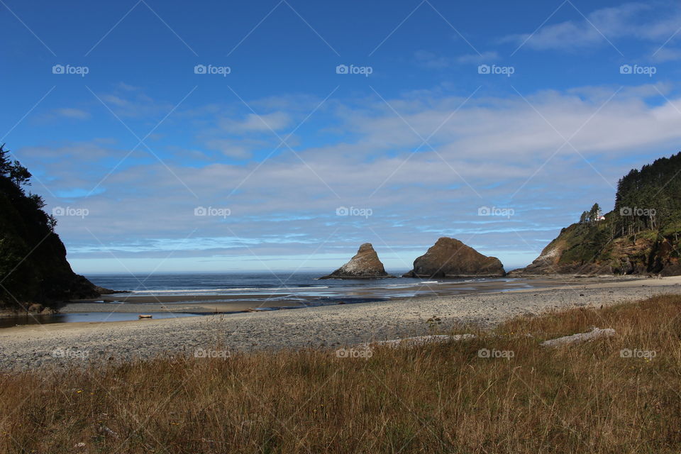 Rock formation at beach