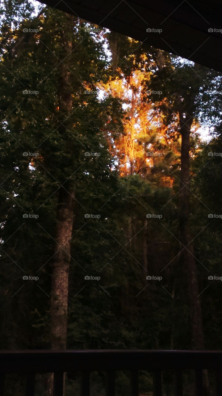 sunset from the porch