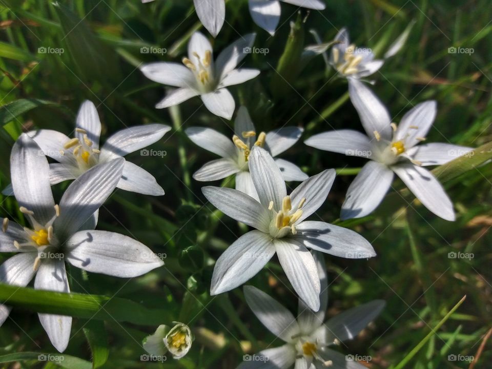 Spring is already here!