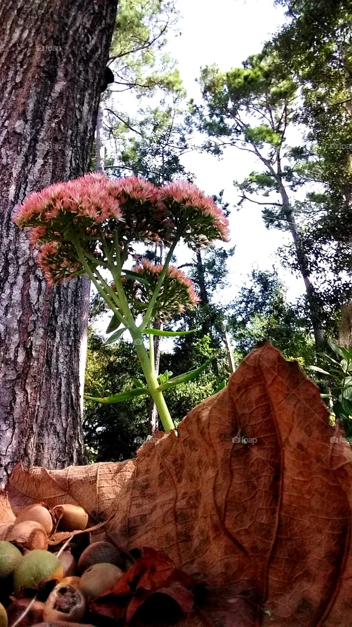 first signs of autumn